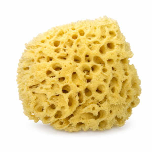 Natural Sea Sponge | Soft Bath & Body Cleaning Sponge